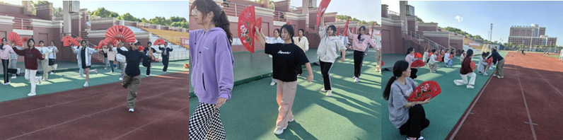 新球体育平台