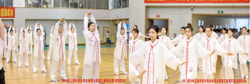 新球体育APP下载