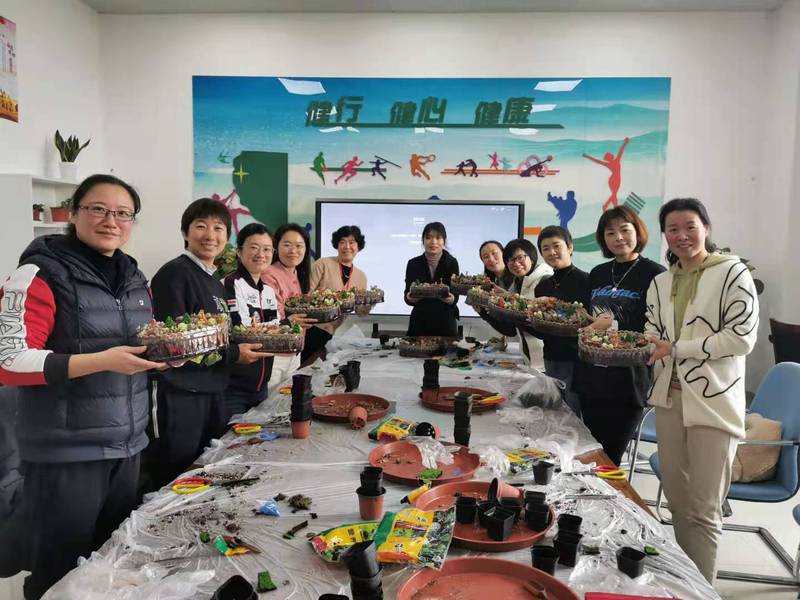 新球体育官方指定端