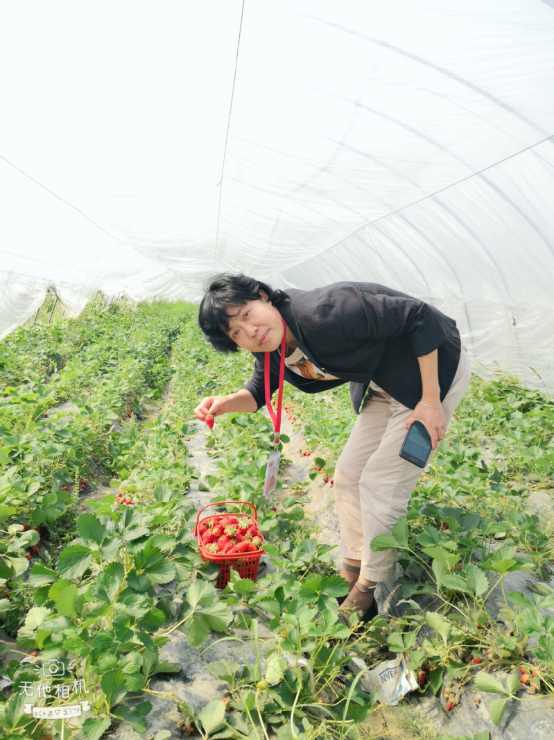 新球体育客户端