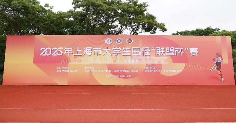 新球体育直播